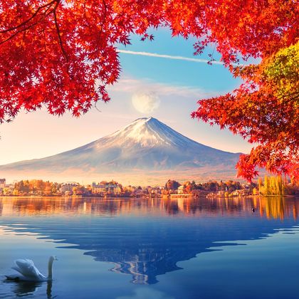 日本富士山五合目+忍野八海+河口湖+御殿场奥特莱斯一日游