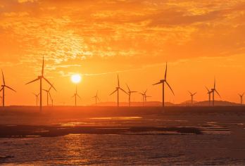 平潭岛一日游【可品质大团定点接/可8人小团/可包车景点任选】【全程纯玩时间充足，轻松自由行线路，您的满意度我们放在第一位!】