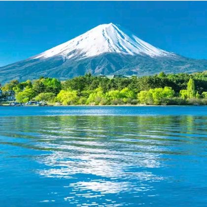 日本富士山+富士急乐园+托马斯乐园一日游