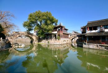 上海私人導覽一日游 楓涇古鎮【享受品尝美味当地午餐的机会】