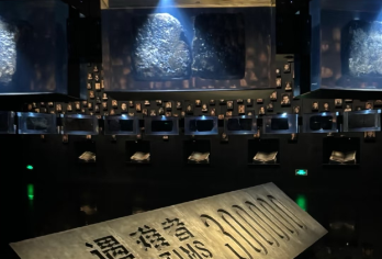 侵华日军南京大屠杀【汀兰集 2小时深度讲解 精致小团】【[品质保证]2小时深度解析、沉浸式讲解体验，萌趣有料】