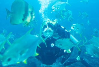 亚龙湾潜水大套票+可升级潜水考证私教班+安排车接服务【潜水大套票，畅玩水上项目，远海潜水，与大海进一步亲密接触，与鱼群共舞】