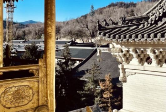 五台山品质一日游【太原出发】【[万佛阁俗称五爷庙]在这里您可以点燃心灯，照亮前程、许下心愿祈福平安。】