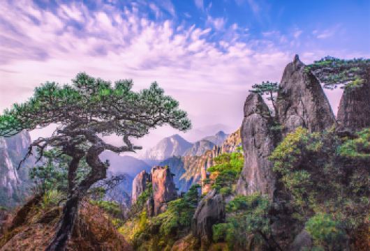 【江西三清山风景区】一日游【纯玩无购物】