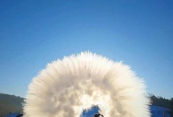 雪乡+马拉爬犁+林区驯鹿部落+大秃顶山+十里冰雪画廊一日游【雪乡+马拉爬犁+驯鹿部落+大秃顶山+冰雪画廊+独立包车自由行,亚布力本地旅行社，纯玩无购物】