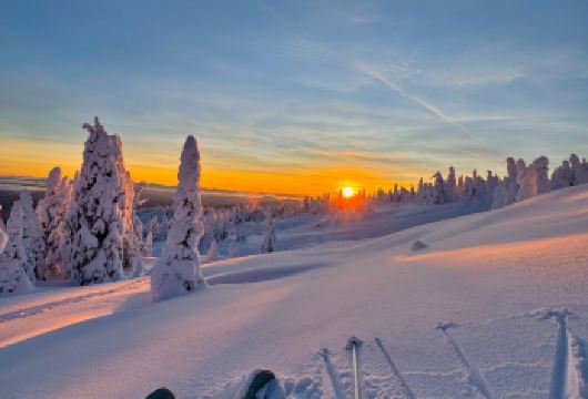 亚布力新体委阳光滑雪场一日游高铁接【网红雪服+雪镜+头盔】【[VIP出行]亚布力西站/酒店上门接（亚布力南站/亚布力滑雪旅游度假区内免费接送）】