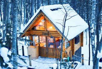 北海道|旭川动物园/富田农场&四季彩之丘&瀑布&青池一日游【札幌包车出发：省去交通烦恼，一日轻松畅游美瑛/富良野/旭川人气景点。】