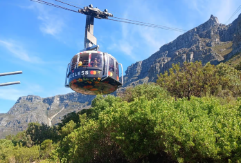 南非开普敦出发 桌山+企鹅滩+开普角一日游(好望角/西蒙镇)【乘坐缆车到桌山顶，饱览超棒美景】