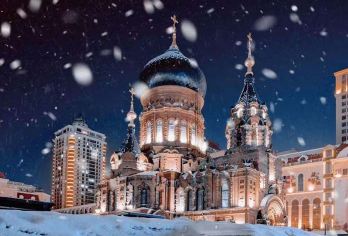 汤旺河出发-茅兰沟森林公园+中俄界江广场+恐龙地址公园一日游【往返专车接送，多款舒适座驾供选择，可按需量身定制行程；纯玩无购物】