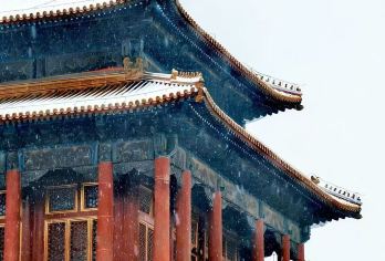 故宫博物院人工精讲180分+含票+上下午场次可选英文团【资深导游讲解，严选5年以上经验导游老师，轻车熟路带您玩转紫禁城】