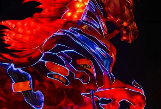 合肥市区出发巢湖包车9小时一日游|打卡姥山岛+中庙+三河古镇【一日高效串联湖心岛、千年古刹与江南水乡，尽览巢湖多元风貌】