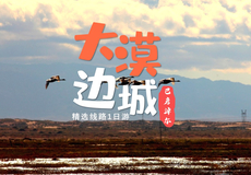 大碱湖+鸡鹿塞+阿贵庙+西部梦幻峡谷一日游