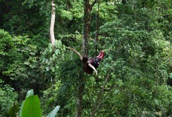 西双版纳基诺山巴朵特龙谷雨林徒步一日游 项目全含 70%溯溪【[精品纯玩]纯玩无购物，无任何隐性消费，嗨游热带雨林；】