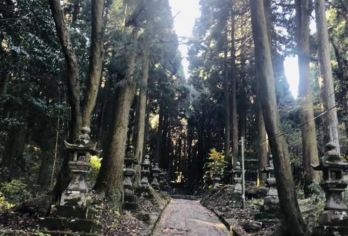 日本九州-熊本往返-阿苏山-草千里-高千穂峡 领略活火山风采【专业行程定制，精选热门景点，高效游玩不走回头路，贴心服务保障，轻松】