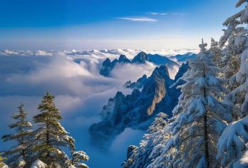 郴州莽山五指峰景区一日游【纯玩+门票+往返索道+车辆接送-】【[纯玩无忧]1人起订，纯玩无购物，无障碍出行，一座不用爬的山，夏观云海，冬赏雾凇，一览南岭山脉风姿】