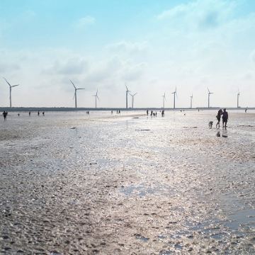 【包车游酒店接送】台中+宫原眼科+高美湿地+彩虹眷村