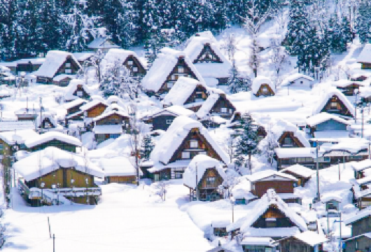 名古屋包车一日游【白川乡/高山/金泽/下吕/上高地/犬山城】【[专属包车服务]人数精少，酒店上门接送，提供中/英文司机，无需担心语言障碍。】
