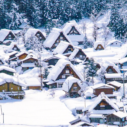 名古屋包车一日游【白川乡/高山/金泽/下吕/上高地/犬山城】