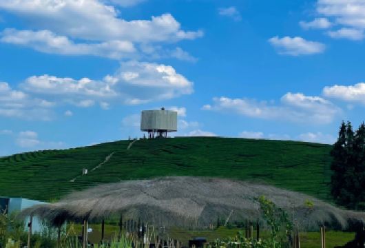景德镇丙丁柴窑+瑶里古镇+瓷宫+寒溪+东埠一日游【建筑之美】【瓷都旅游官方专营店，正规旅游车资质，含承运人责任险】