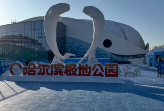 哈尔滨极地馆+冰雪大世界【下午场小团*冰雪大世界畅玩】【[无拘游览]必打卡景点深度玩，时间安排零压力！】