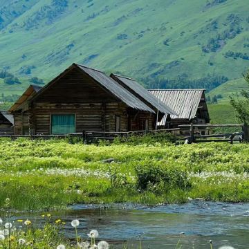 【包车单程】阿勒泰—禾木