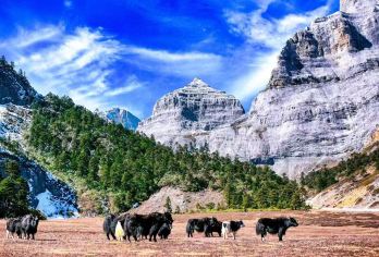 香格里拉巴拉格宗风景区一日游【景区直通车+纯玩+出行无忧】【（精选线路）品质线路，巴拉格宗一日游（不含导游），全程用车无缝接送、为您带来舒适的旅行体验。】