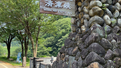 日本新潟+新泻机场+新泻仙贝王国+星峠梯田+清津峡 溪谷+高田城一日游【定制包车游】线路推荐【携程玩乐】