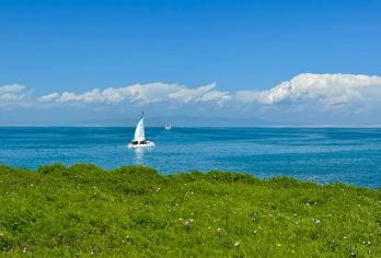 青海湖+拉脊山+日月山一日游【包车游】【1，达人带队，精选线路，深度体验，创新玩法，贴心管家，摄影帮手，路上美景随走随停！】