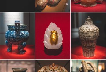 南京博物院半日游【可选含门票预约/资深讲解，散拼/私家团】【[深度讲解]专业导游深度讲解特展馆和历史观，拒绝走马观花】