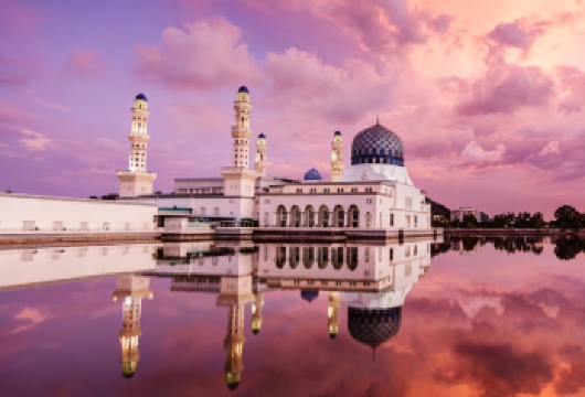 舒适追萤火虫丨亚庇沙巴weston威士顿红树林丨5人团【市区酒店上门接送，中文/英文导游服务，漫天飞舞的萤火虫，如繁星般璀璨虫，点亮浪漫幻境，勾起童年回忆】