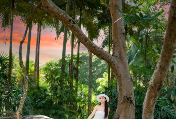 中科院植物园一日游【拼15人西区讲解+6人小团+市区接送】【深度省心游，不走马观花，让旅行加倍温度；】