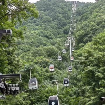 【南阳起止＋跟团免60门票】西峡老界岭一日游