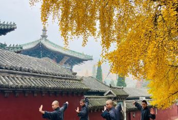 龙门＋少林一日游【15人精品小团＋上门接送+纯玩无购物】【[福利保障]15人封顶精品小团，拒绝大散拼，安排商务车型让行程更舒心，拒绝走马观花式游玩】