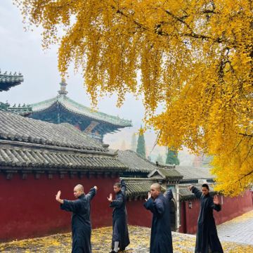 龙门石窟＋少林一日游【15人精品小团＋上门接送+纯玩无购物】