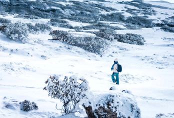 【纯玩】轿子雪山8人商务团+大套票一日游|可选独立包车【8人商务团|含门票+车费+往返摆渡车+往返大小索道；】