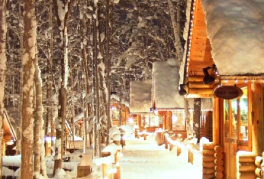 北海道旭山动物园+森林精灵露台+四季彩之丘+美瑛网红树一日游【无购物纯玩，感受冬日梦幻北海道，看企鹅散步】