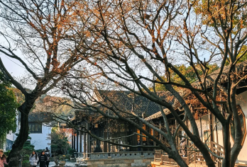 无锡惠山古镇一日游【核心资源全覆盖】