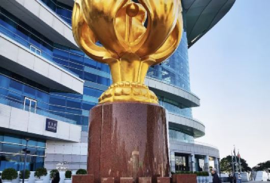 香港金紫荆广场一日游（专车接送，不含门票）【见证香港回归历史地标，金紫荆雕塑与会展建筑共述东方之珠发展篇章】