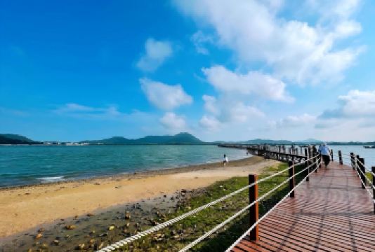 阳江海陵岛出发打卡大角湾水晶宫+红树林国家湿地公园包车一日游【专车无缝衔接，一日尽览水晶宫沉船传奇、大角湾亲水乐趣与红树林自然秘境】