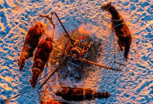 【查干湖】深度体验东北正宗古法冬捕+冰上活动 全程暖车一日游【冰雕+冬捕 深度体验查干湖核心景点游玩，适配多元需求，可灵活定制私人行，】