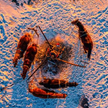 【查干湖】深度体验东北正宗古法冬捕+冰上活动 全程暖车一日游