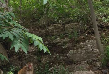 【包车游】三环内可接送,璧山一日游！（门票自理）【一对一服务，无需拼车等待】