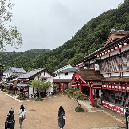 日本东京-日光江户徒步一日游（可定制周边游）酒店接送