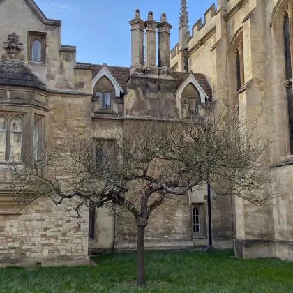 英国伦敦剑桥+格林威治+夜游泰晤士河一日游【赠泰晤士游船票】