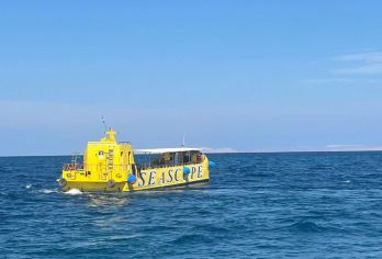 埃及赫尔格达红海玻璃船出海2小时 浮潜珊瑚鱼群【[醉美红海]红海是世界三大海滨胜地之一，欧洲的后花园】