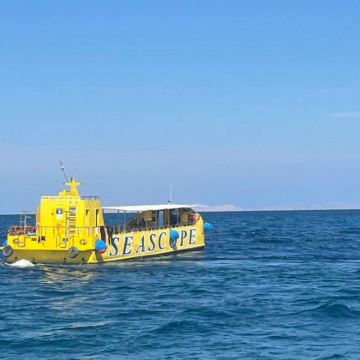 埃及赫尔格达红海玻璃船出海2小时 浮潜珊瑚鱼群