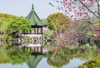 无锡+蠡园+鼋头渚+灵山大佛一日游【中文包车｜市区酒店上门接送｜行程可调｜景点可定制】