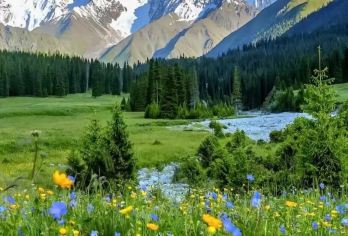 从卢加诺到雪域：阿尔卑斯山脉・铁力士山・雪地乐园全景【包车游不拼车/中文司机服务/景点可自由选择】