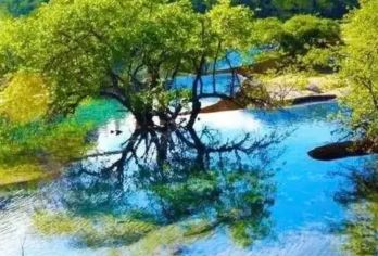 黄龙九寨高铁站~九寨沟沟口丨豪华大巴丨5-9座直通车丨车票【途径站点：黄龙九寨站-川主寺镇-鲁能小镇-千古情-桔子酒店-月亮湾（天堂口）-星宇国际大酒店】