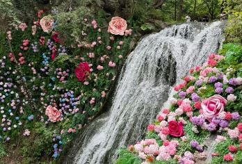 【南阳起止】重渡沟+花海瀑布+绿野仙踪1日游【一价全含，无任何隐形消费】